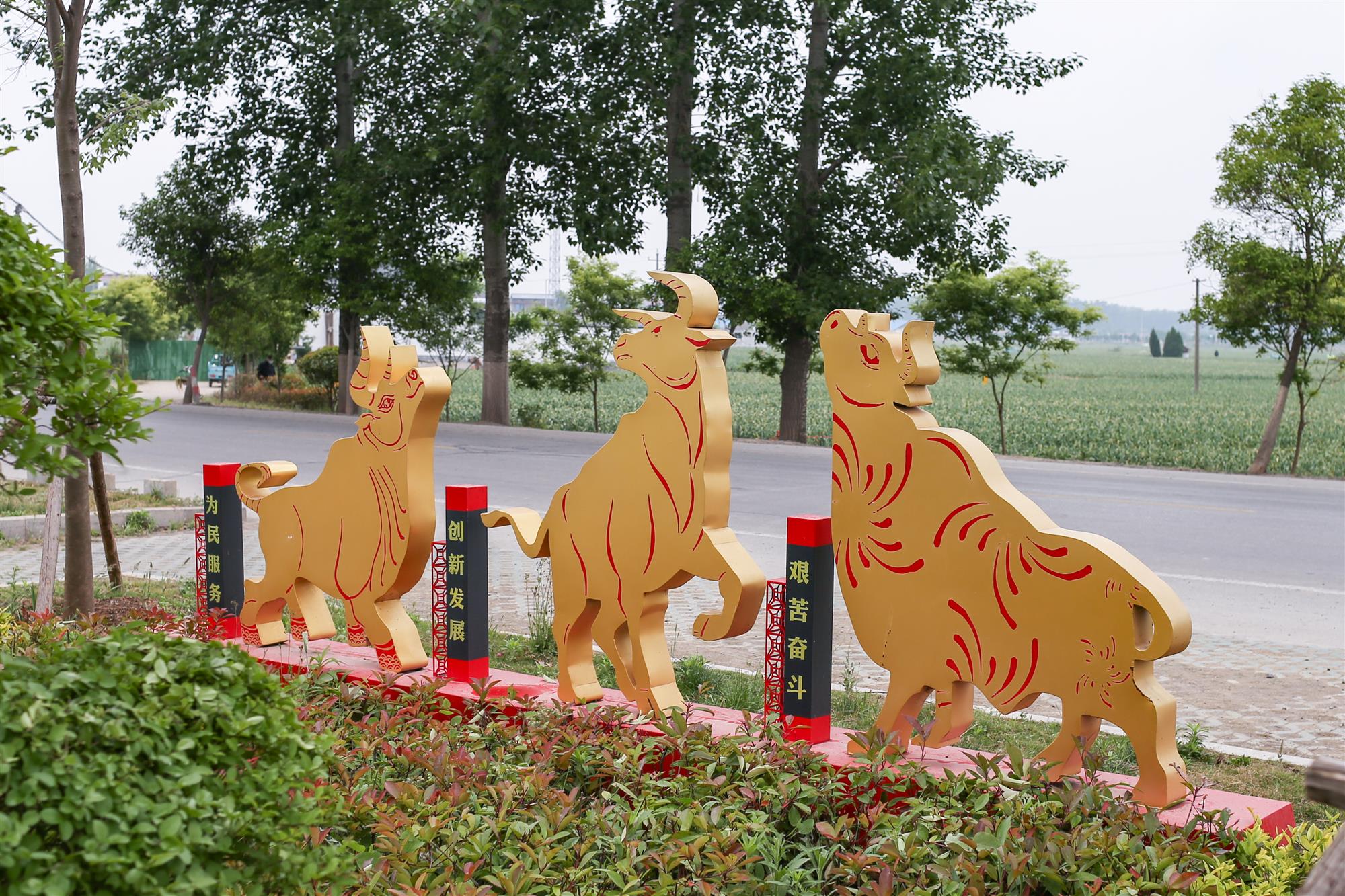 紅光村美麗鄉(xiāng)村文化建設案例